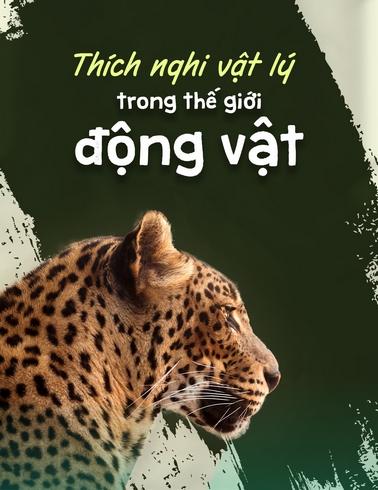 Thích nghi vật lý trong thế giới động vật